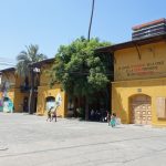 University University