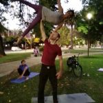 The butterfly The butterfly