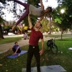 The butterfly The butterfly