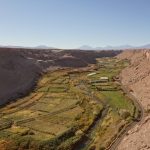 Green canyon in the middle of the desert.