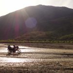 Where to go from here...?