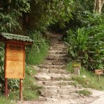 And the ascent begins....